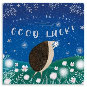 Hedgehog Good Luck Card